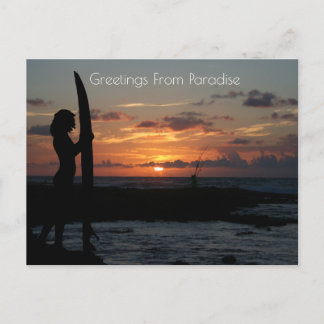 Ocean Cliff Sunset  Postcard