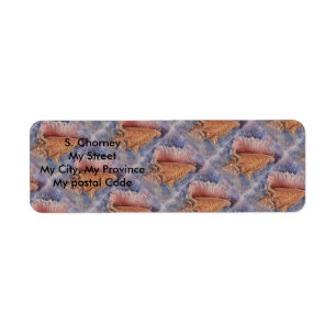 OCEAN CONCH SEASHELL Return Address