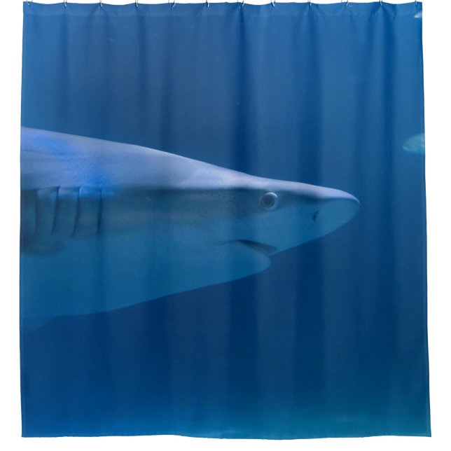 Ocean Creatures Shower Curtain (Front)