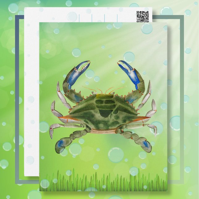 Ocean Drifting Crab Postcard (Drifting Crab Postcard)