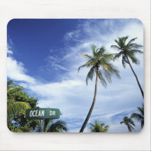 Ocean Drive' road sign, South Beach, Miami, Florid Mouse Pad