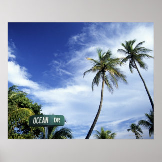 Ocean Drive' road sign, South Beach, Miami, Florid Poster