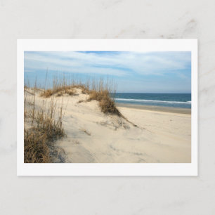 Ocean Dunes Postcard