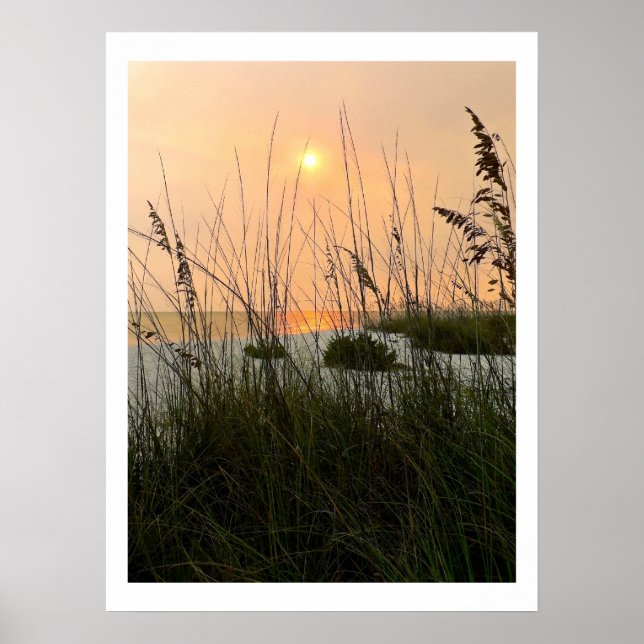 Ocean Dunes Poster (Front)