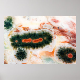 Ocean Jasper Stone found in Madagascar Poster