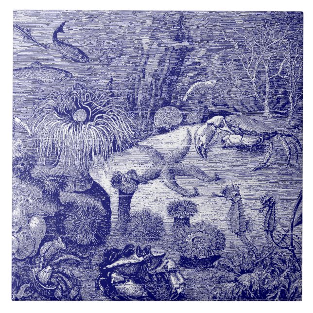 Ocean Marine Life Blue & White Tile (Front)