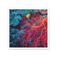 Ocean Memory / Coral reef scenery