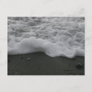 Ocean Meringue! Postcard