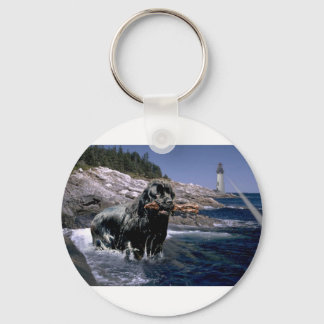 Ocean Newf Key Ring