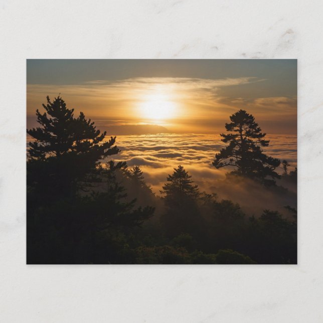 ocean of clouds with sunset postcard (Front)