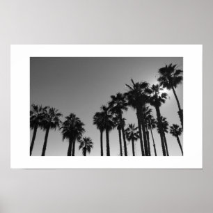 Ocean Palms Black and White Poster