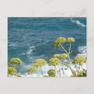 Ocean Postcard