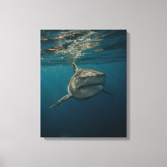 Ocean Predator Stretched Canvas Print (Front)