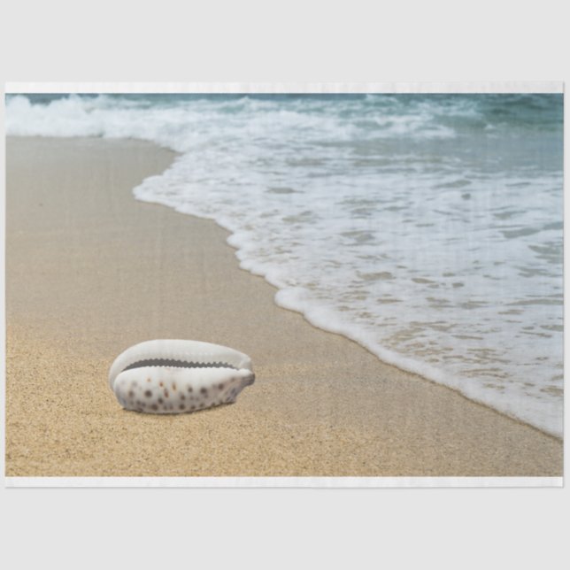 Ocean Shore Seashell Decoupage Tissue Paper (Front)