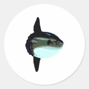 Ocean Sunfish - Mola Mola Classic Round Sticker