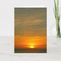 OCEAN SUNSET WITH MIGRATING BIRDS