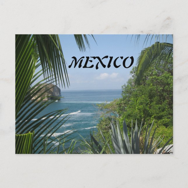 Ocean Trees Postcard (Front)