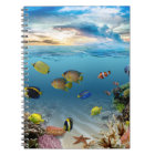 Ocean Underwater Coral Reef Tropical Fish