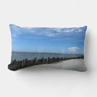Ocean Veiw Throw Pillow