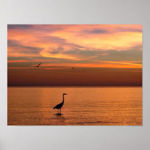 Ocean View at Sunset Poster