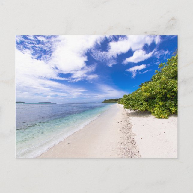 Ocean View Holiday Postcard (Front)