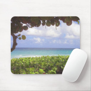 Ocean View, Juno Beach Mouse Pad