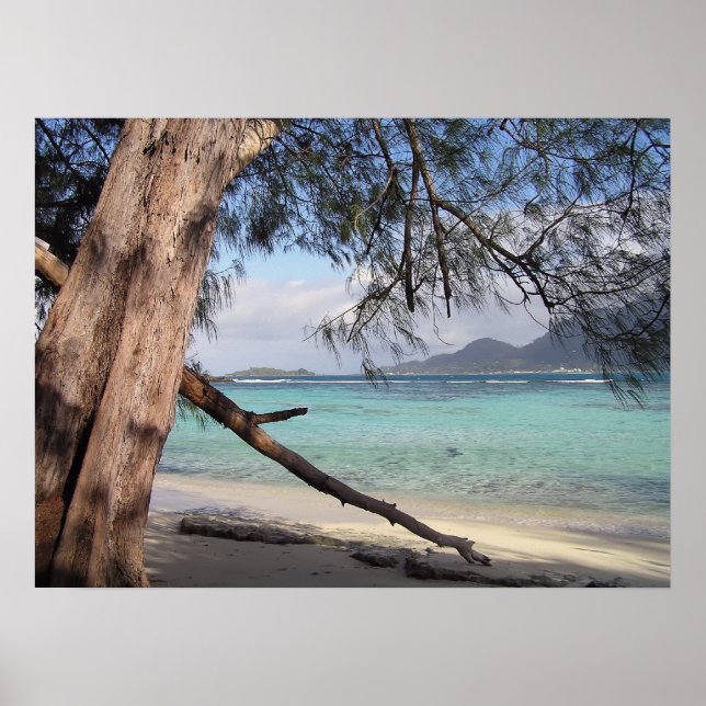 Ocean View Poster (Front)