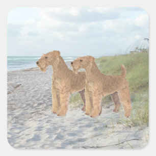 Ocean View Square Sticker
