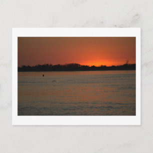 Ocean Waterscape Sunset Postcard