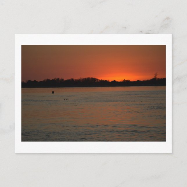 Ocean Waterscape Sunset Postcard (Front)