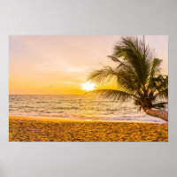 Ocean Waves Palm on the Beach