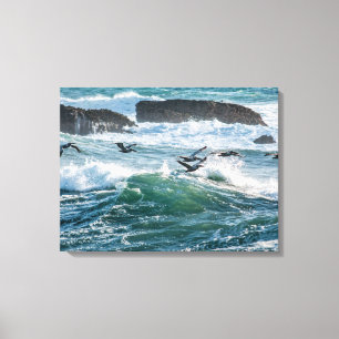 Ocean Waves, Rocks, and Sea Birds Canvas Print