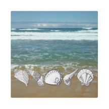 Ocean with Hand Drawn Seashells on Photo