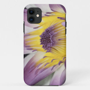 Oceania, Fiji, Purple Panama Pacifica Nymphea iPhone 11 Case