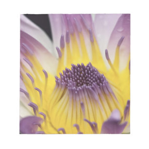 Oceania, Fiji, Purple Panama Pacifica Nymphea Notepad