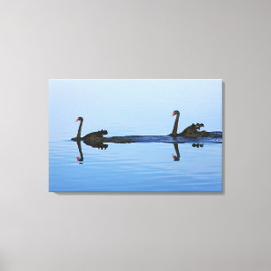 Oceania, New Zealand, South island, Hokitika - Canvas Print