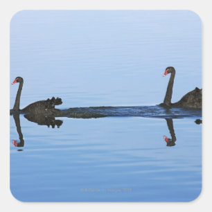 Oceania, New Zealand, South island, Hokitika - Square Sticker