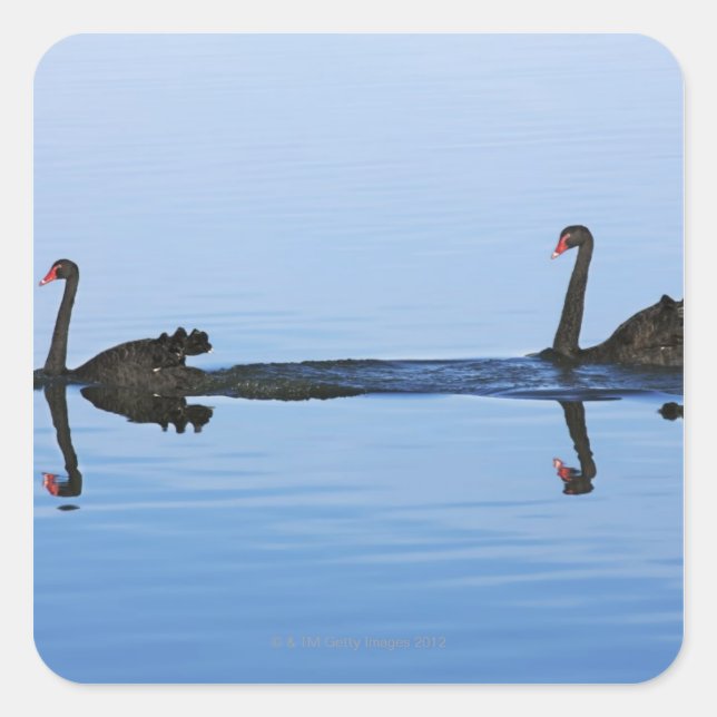 Oceania, New Zealand, South island, Hokitika - Square Sticker (Front)