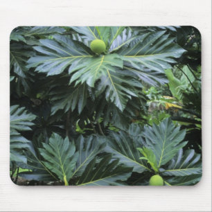 Oceania, South Pacific, French Polynesia, Mouse Pad