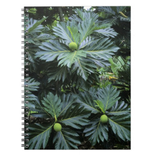 Oceania, South Pacific, French Polynesia, Spiral Notebook