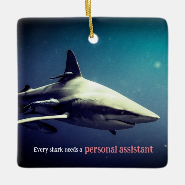 Oceanic blacktip shark underwater ceramic ornament (Front)