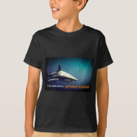 Oceanic blacktip shark underwater