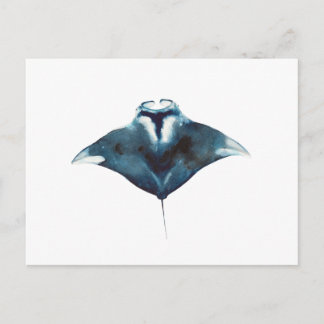 Oceanic Manta Ray Postcard
