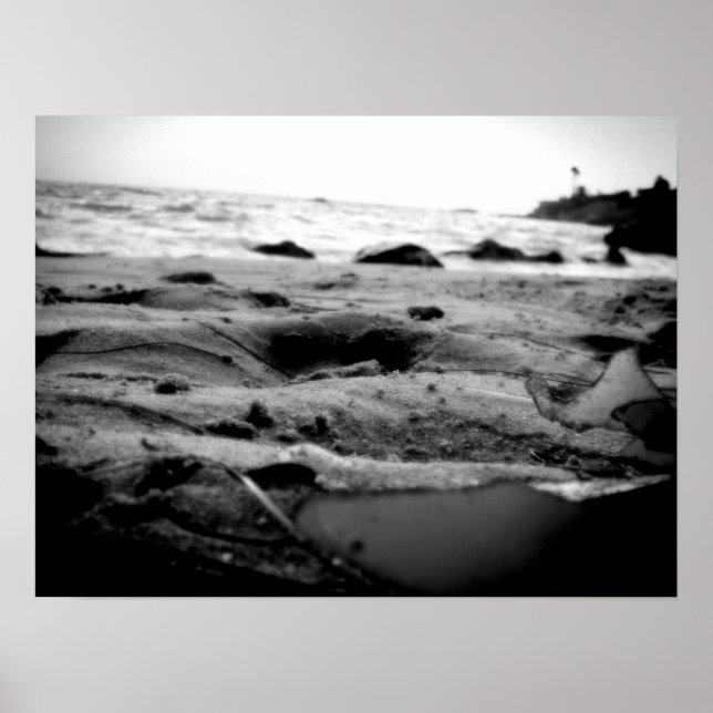 Ocean's Embrace B&W Poster (Front)