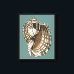 Ocean's Jewel Canvas Print<br><div class="desc">One of the finest ocean's jewel is in this image. Find this large Conch seashell in this framed piece of modern art. This large Conch seashell image has a teal background and sepia and white shell. Get relaxed with this great piece of natural artwork.</div>