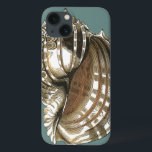 Ocean's Jewel iPhone 13 Case<br><div class="desc">One of the finest ocean's jewel is in this image. Find this large Conch seashell in this framed piece of modern art. This large Conch seashell image has a teal background and sepia and white shell. Get relaxed with this great piece of natural artwork.</div>