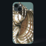Ocean's Jewel iPhone 13 Case<br><div class="desc">One of the finest ocean's jewel is in this image. Find this large Conch seashell in this framed piece of modern art. This large Conch seashell image has a teal background and sepia and white shell. Get relaxed with this great piece of natural artwork.</div>