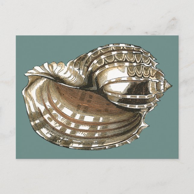 Ocean's Jewel Postcard (Front)