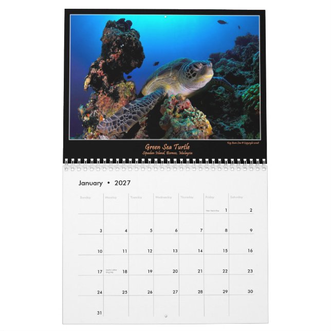 Oceans Of Colour Calendar (Jan 2027)