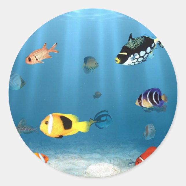 Oceans Of Fish Classic Round Sticker (Front)
